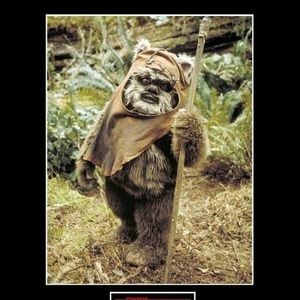 Meet your Posher, Ron